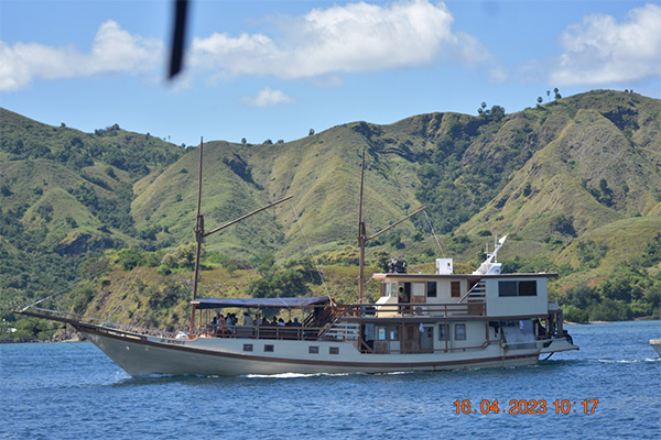 gallery komodo boat charter oke (20)