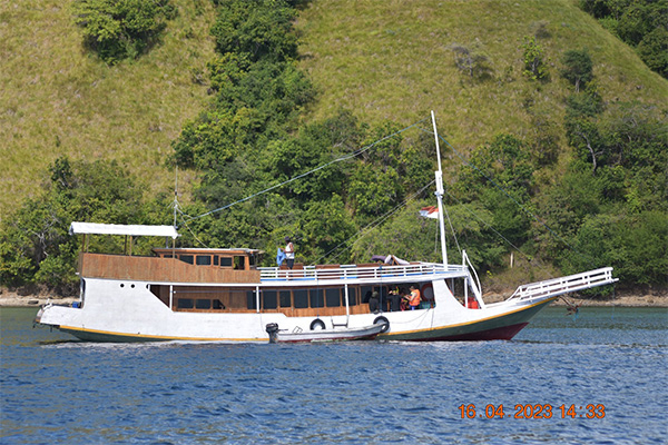 gallery komodo boat charter oke (5)
